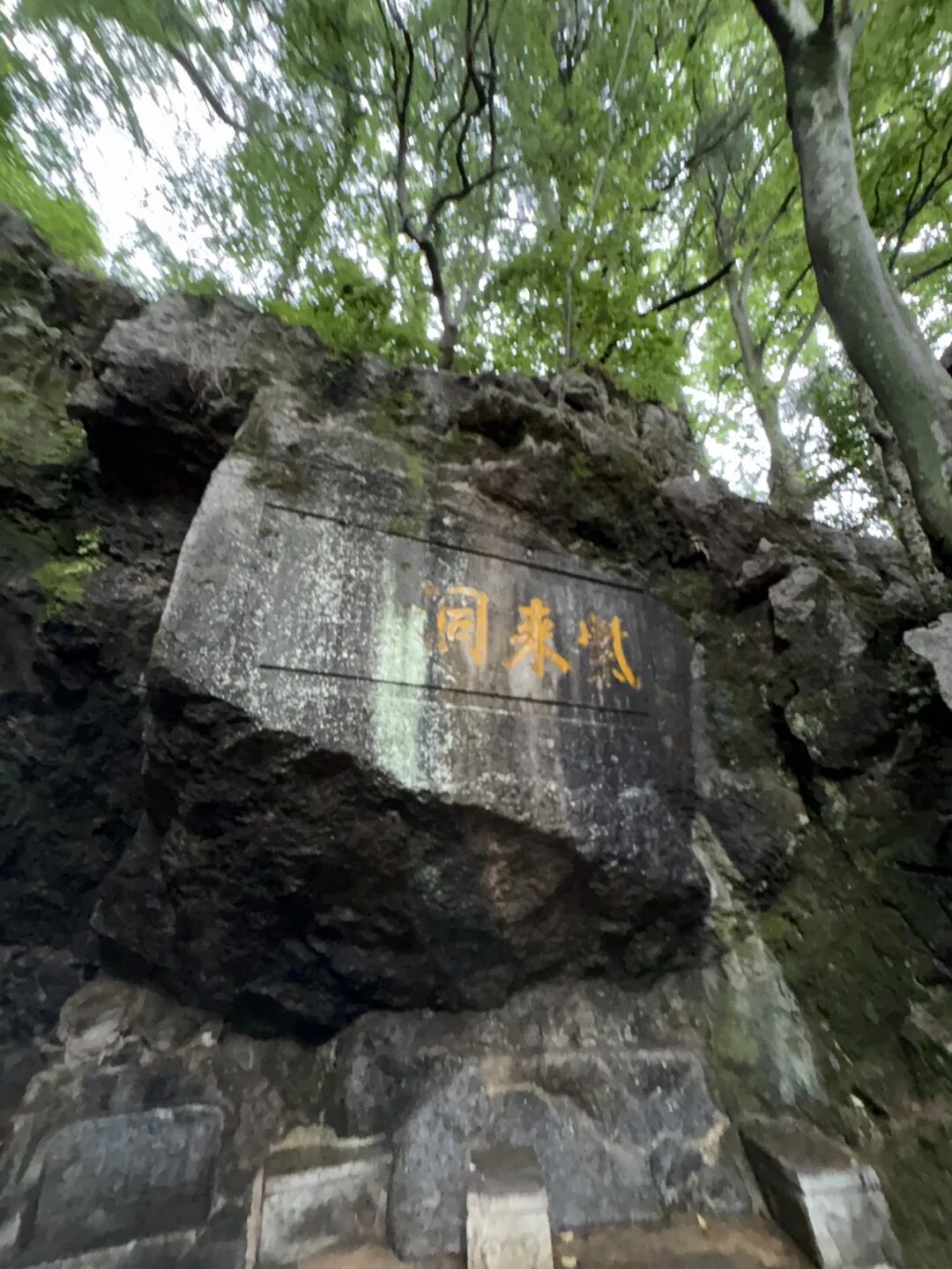 行者小辉辉