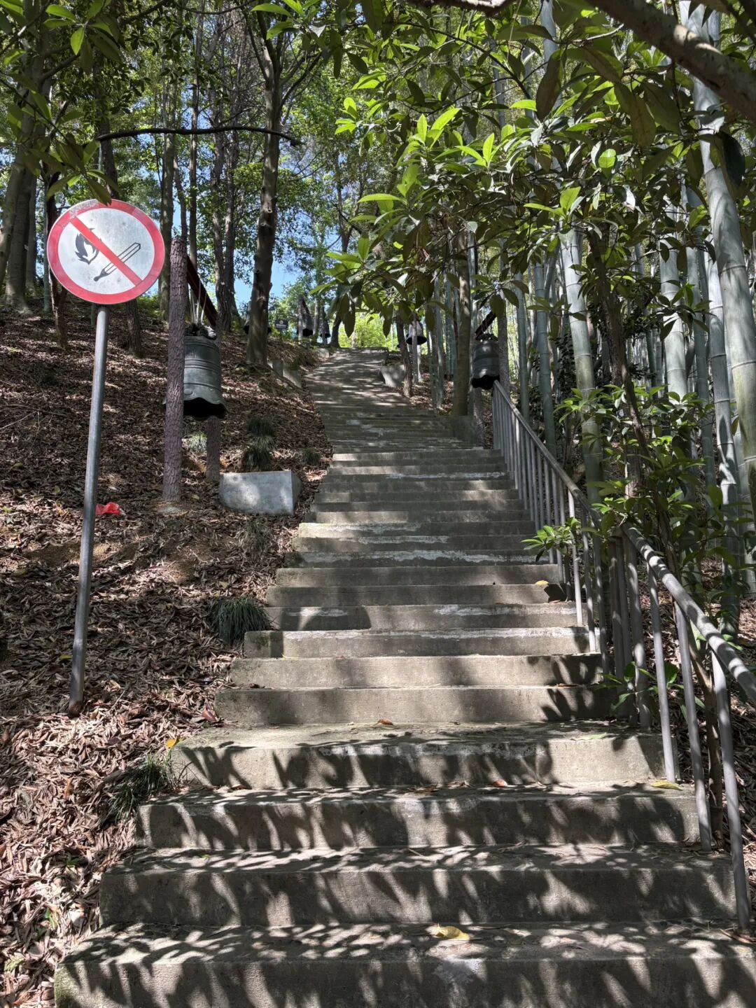 行者小辉辉
