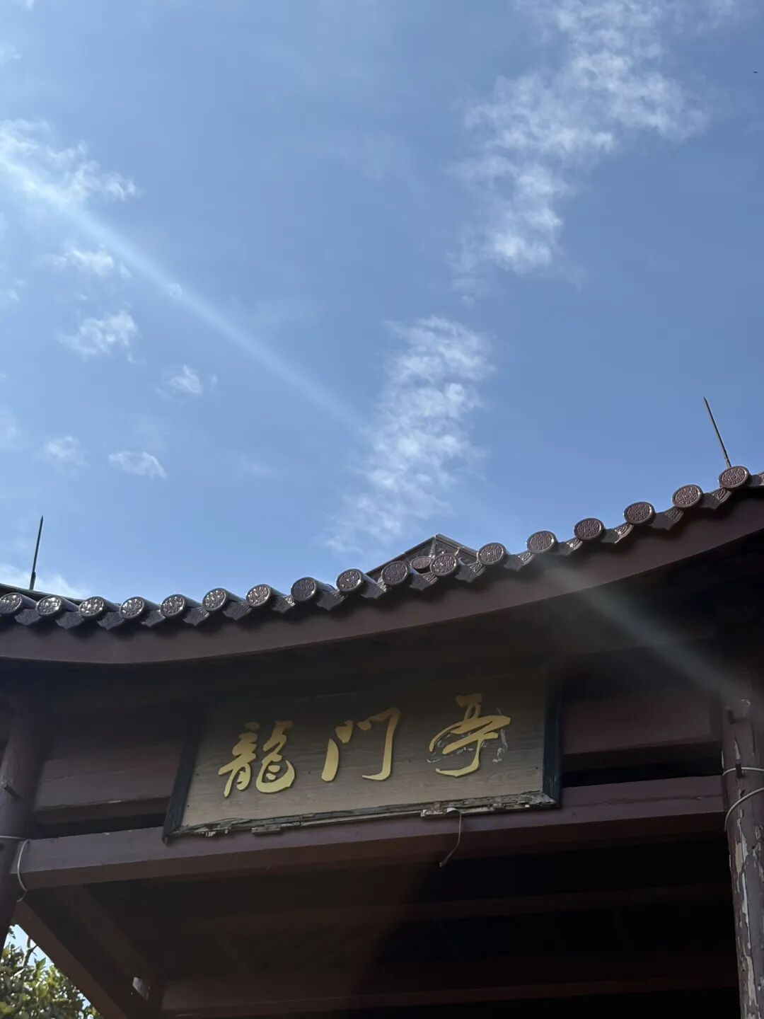行者小辉辉