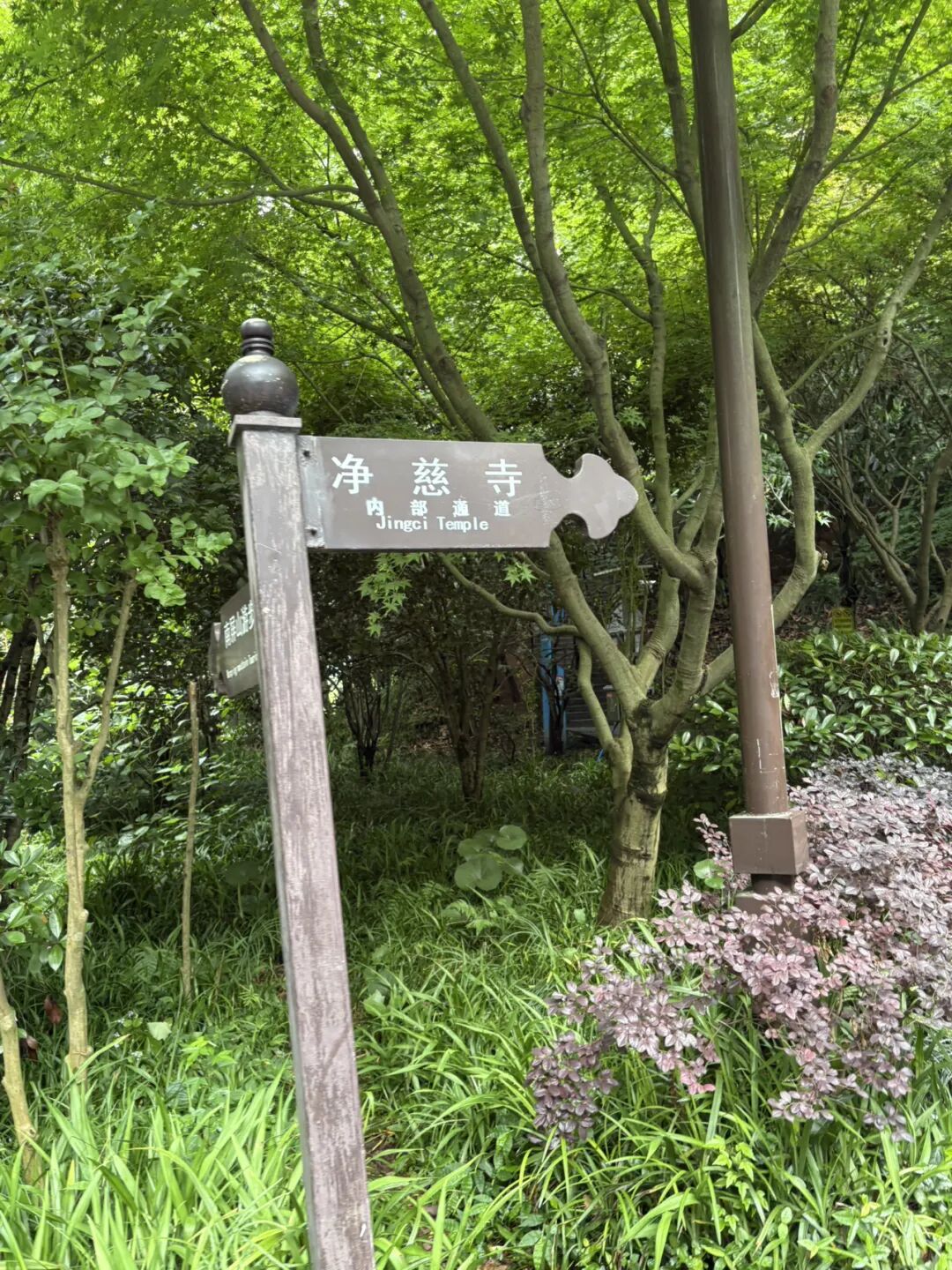 行者小辉辉