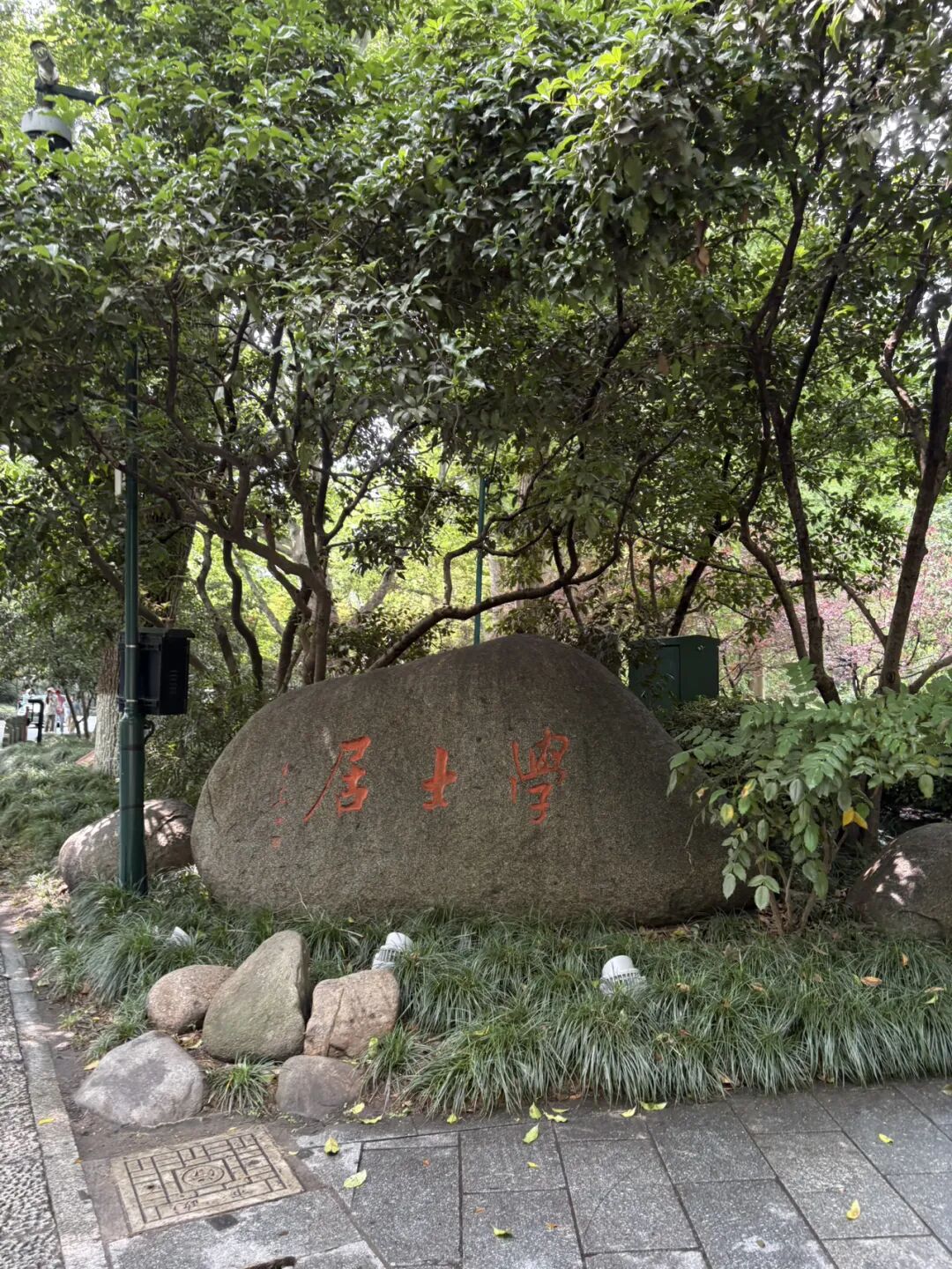 行者小辉辉