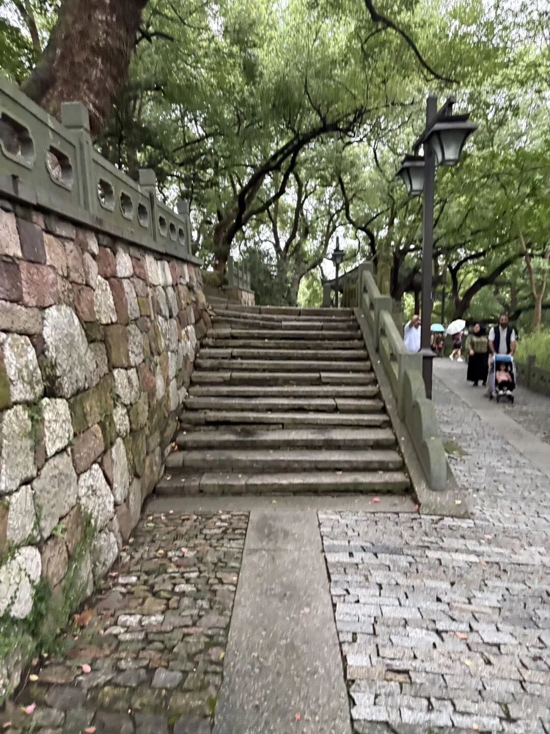 行者小辉辉