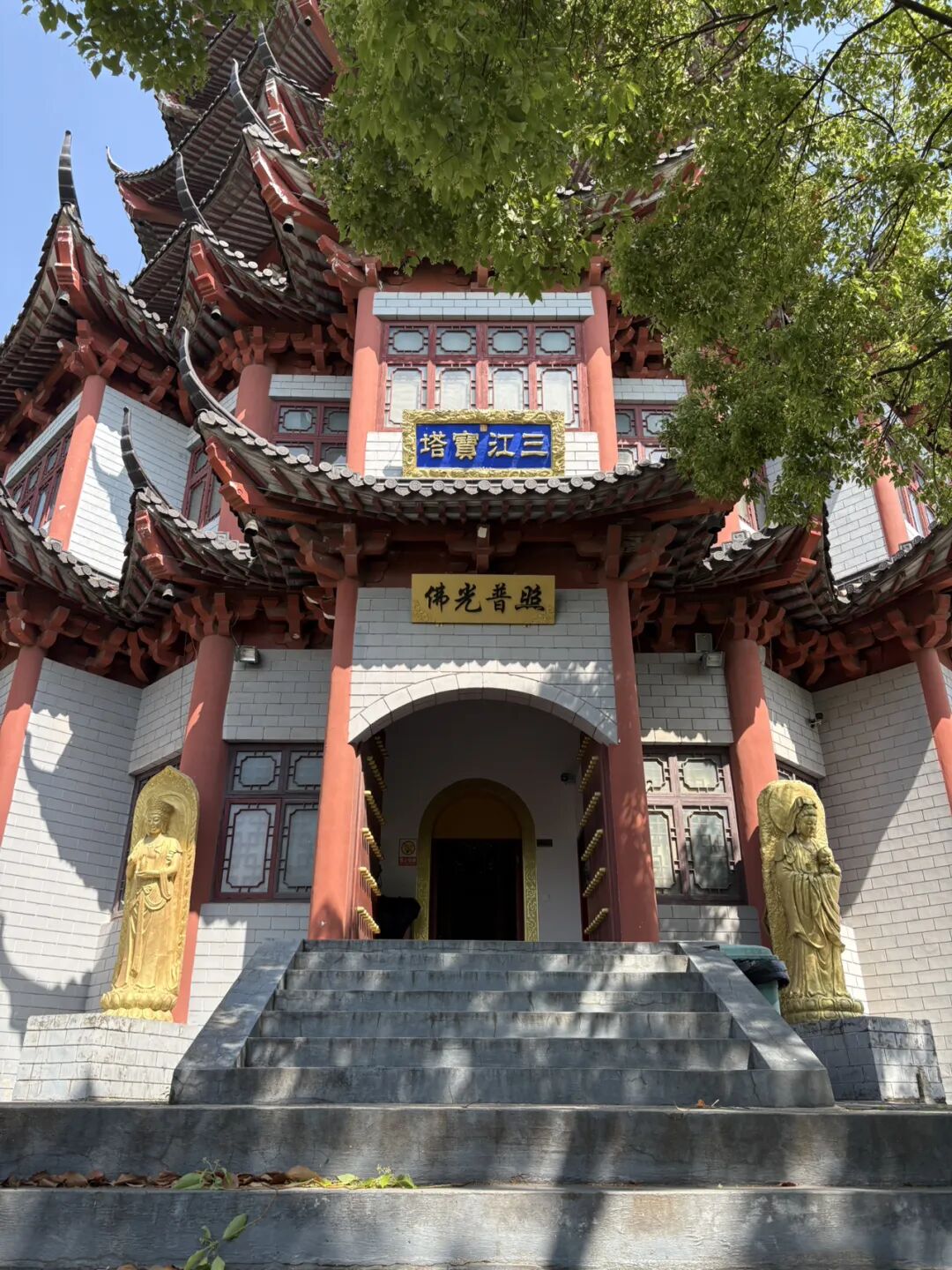 行者小辉辉