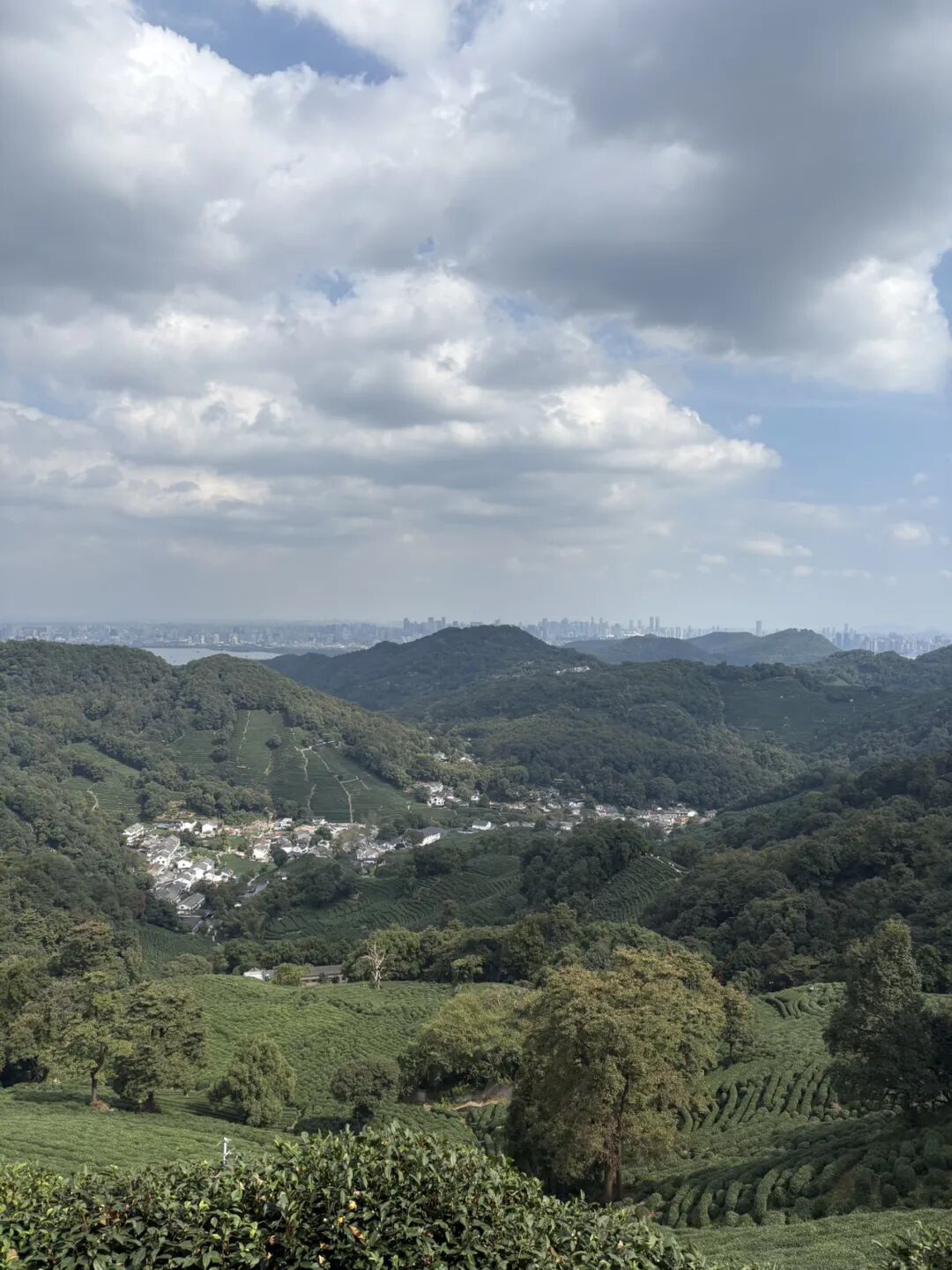 行者小辉辉
