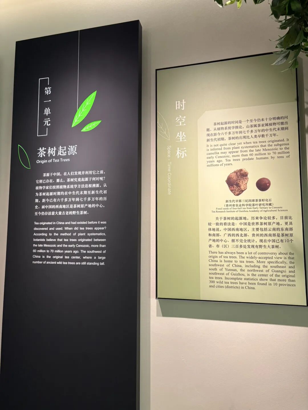 行者小辉辉