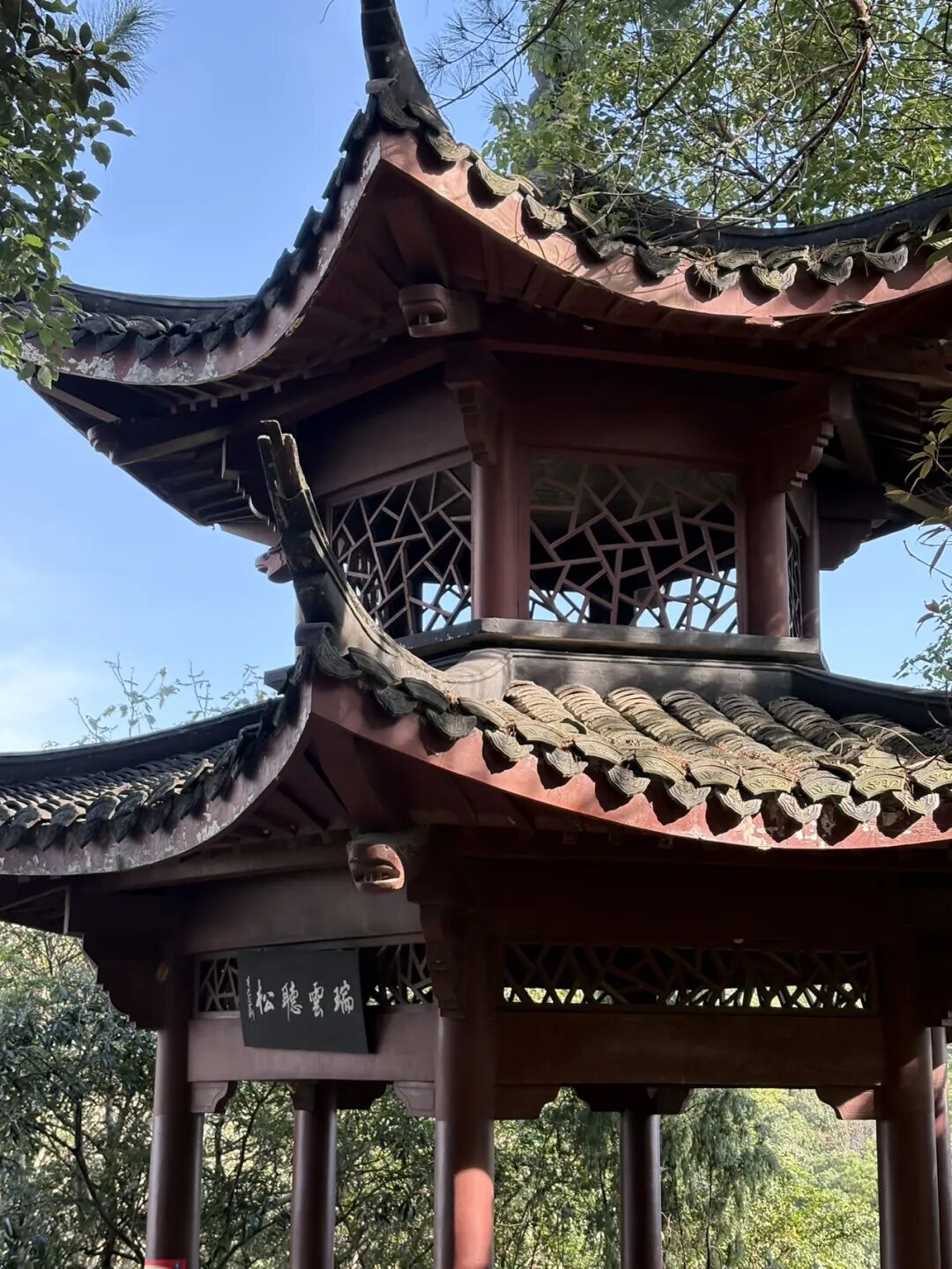 行者小辉辉