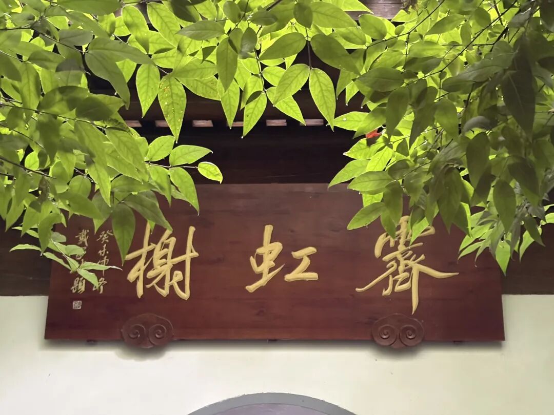行者小辉辉