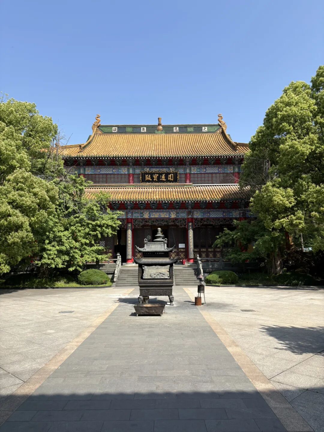 行者小辉辉
