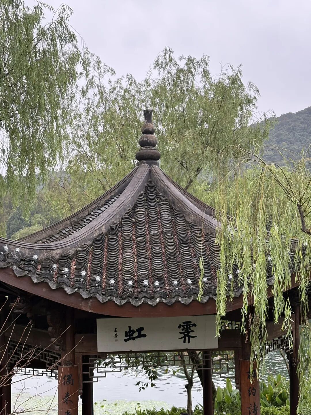 行者小辉辉
