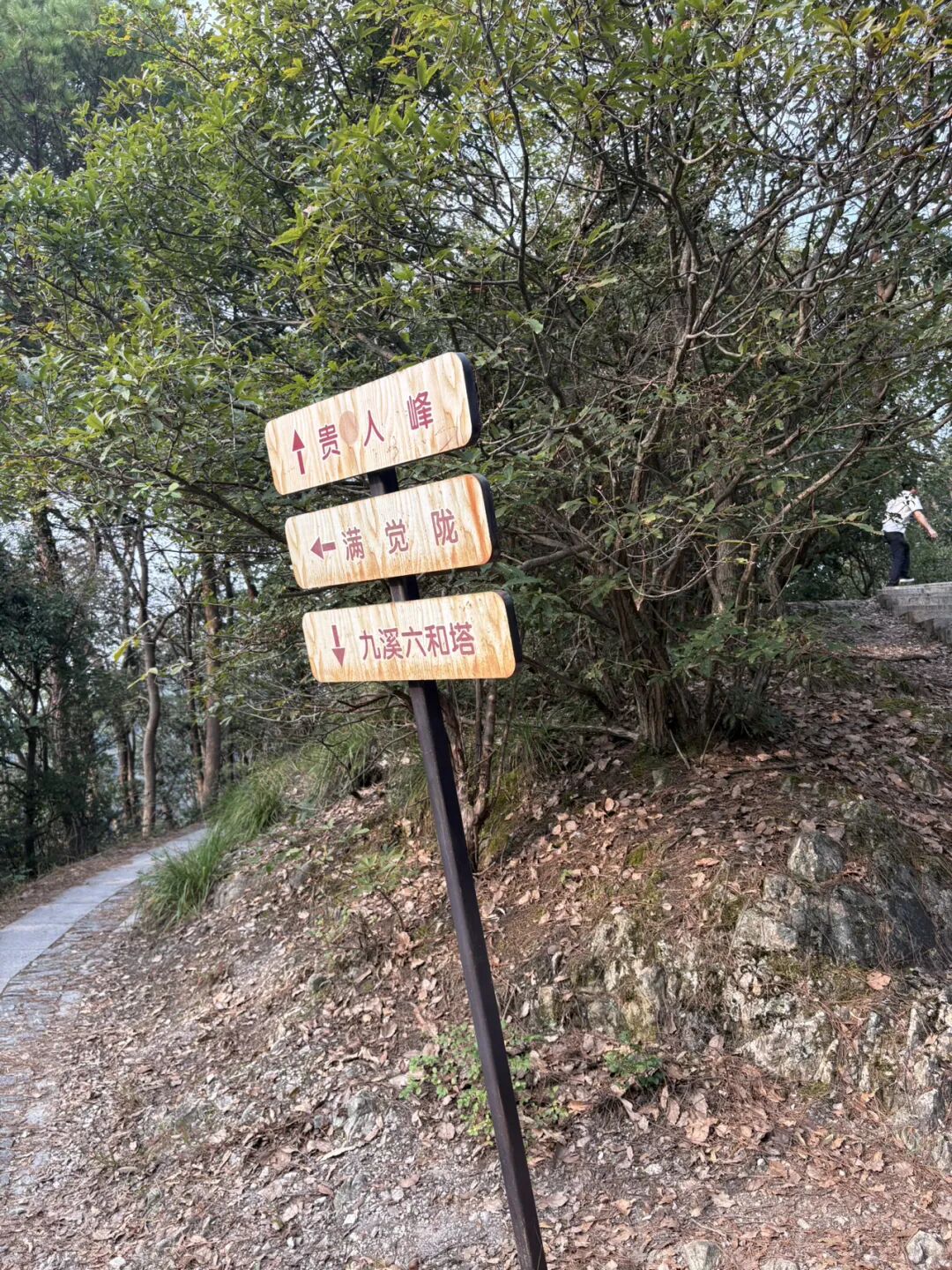 行者小辉辉