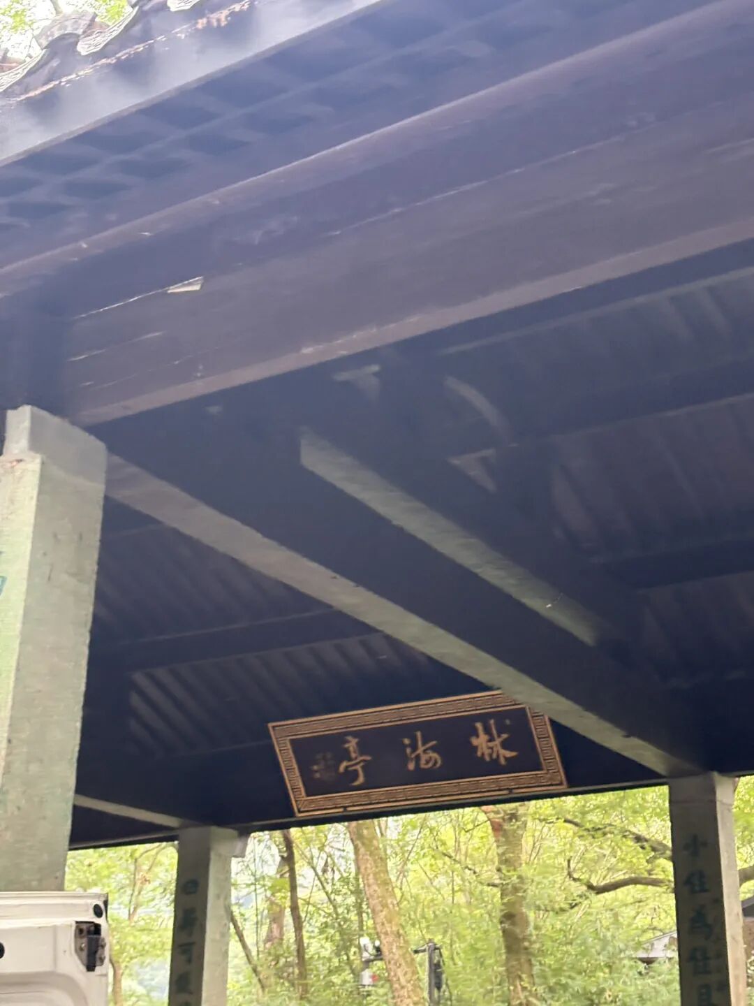 行者小辉辉