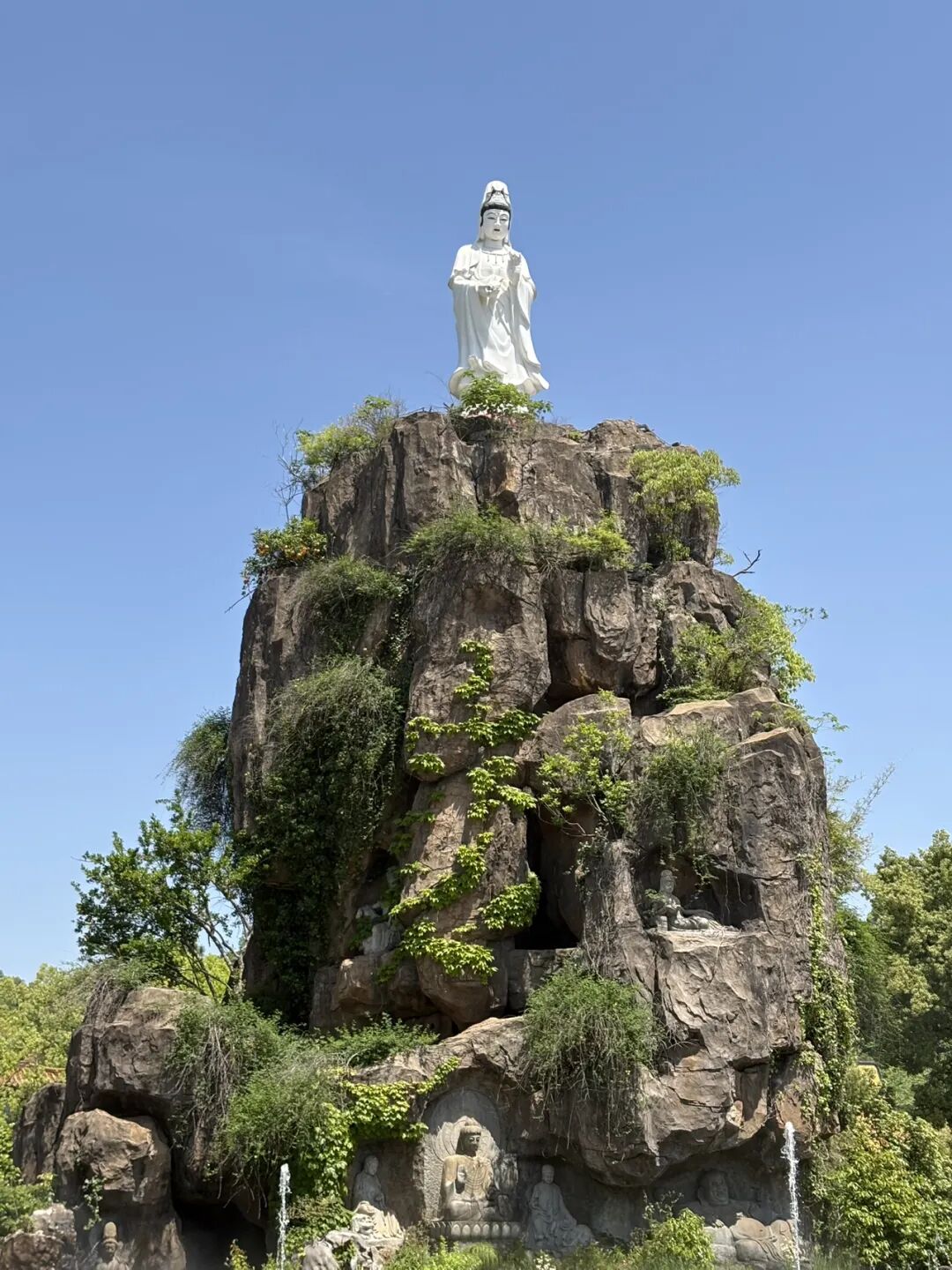 行者小辉辉