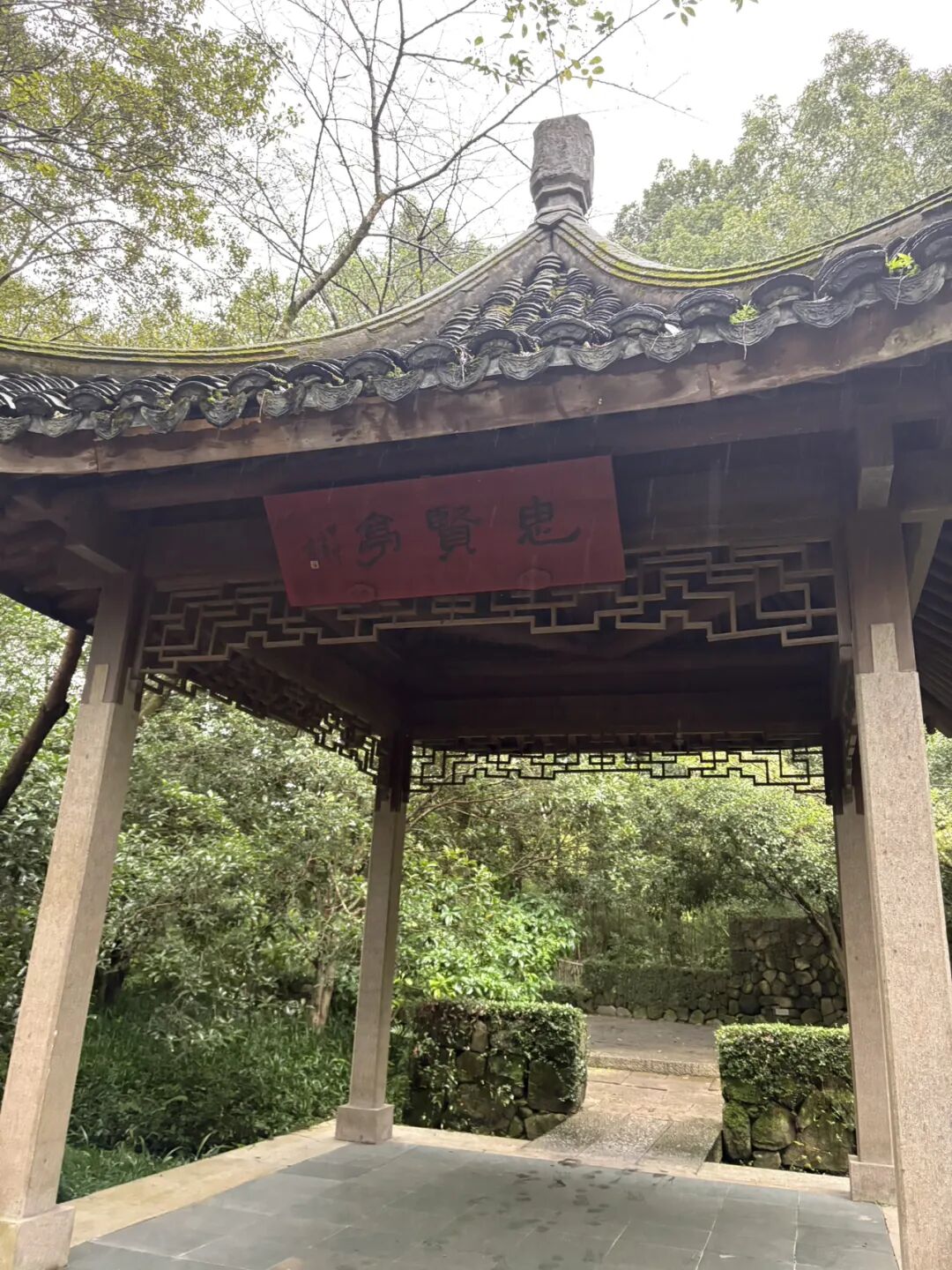 行者小辉辉