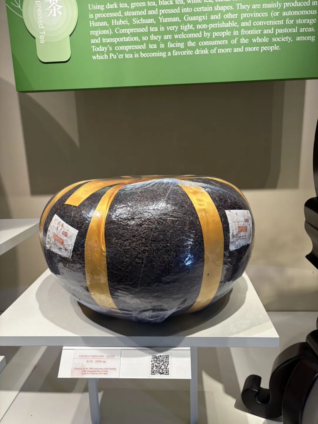 行者小辉辉
