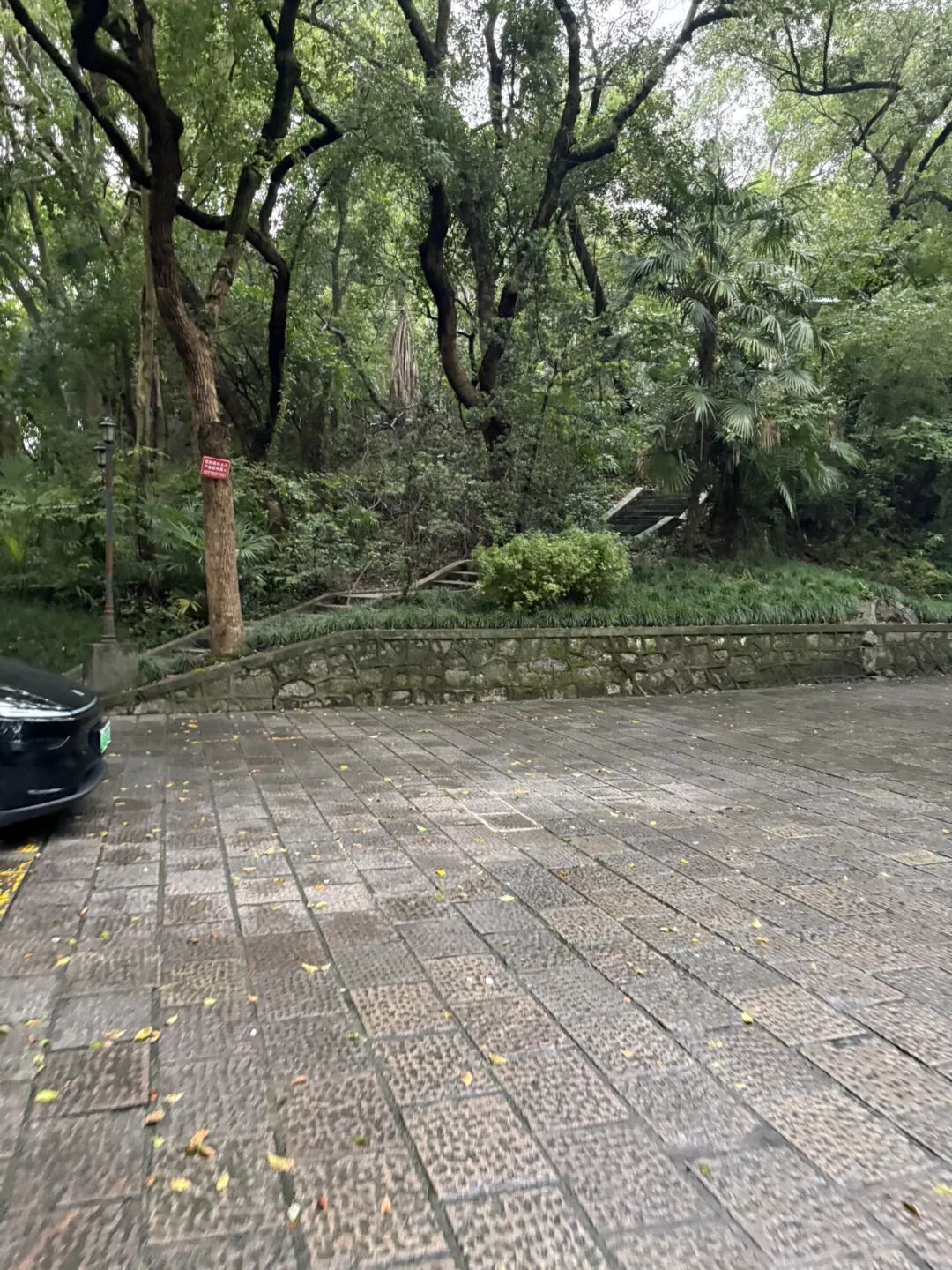 行者小辉辉