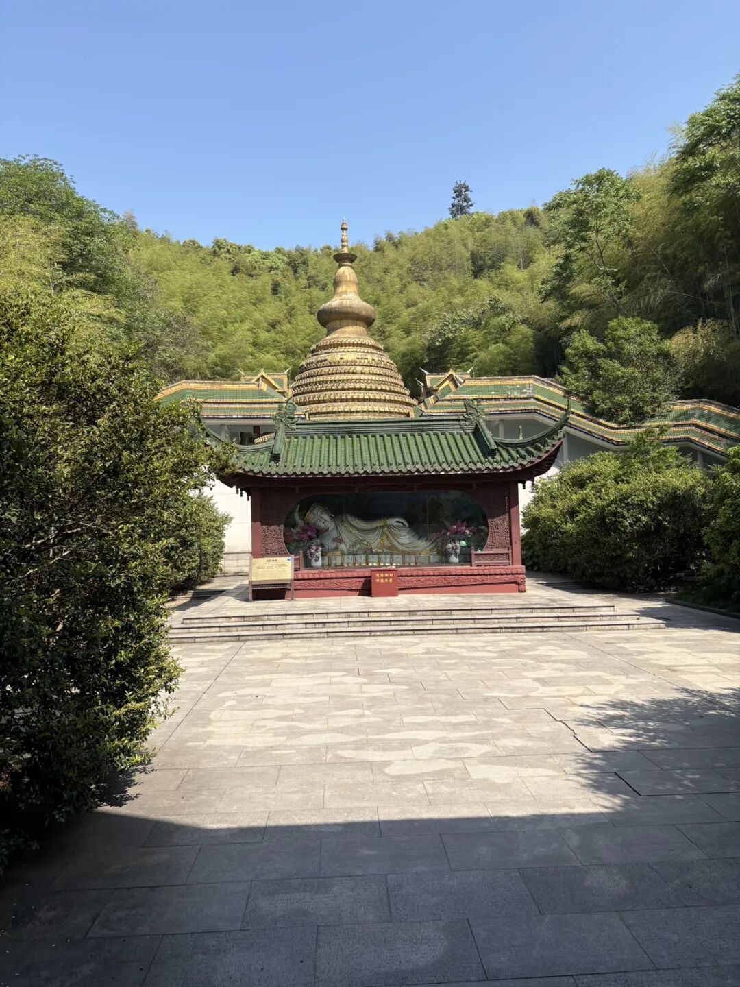 行者小辉辉