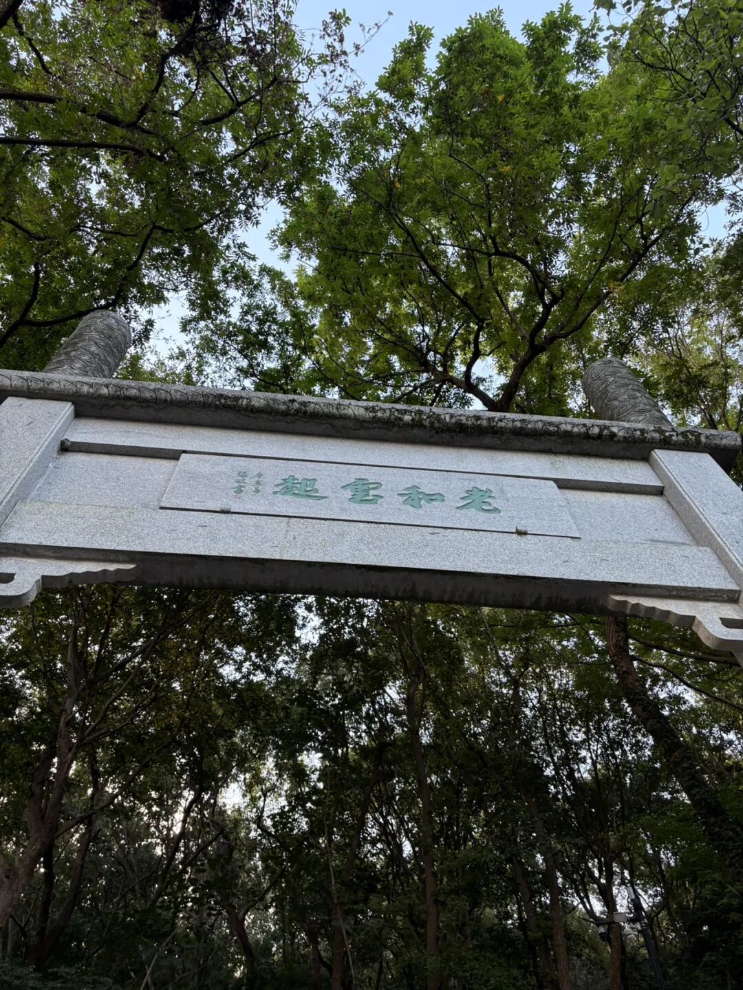 行者小辉辉